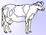 cow